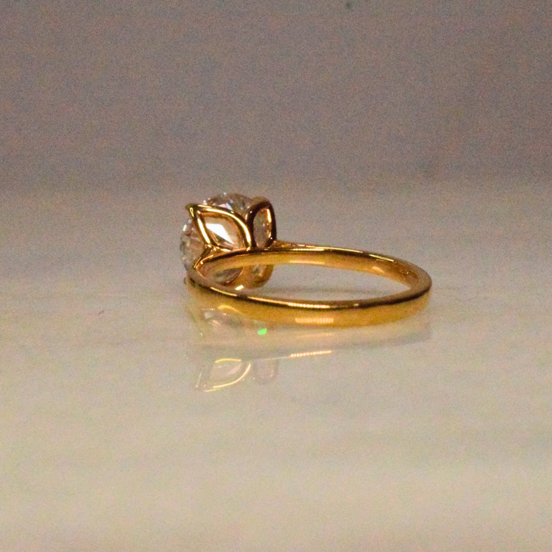 The Tulip Ring